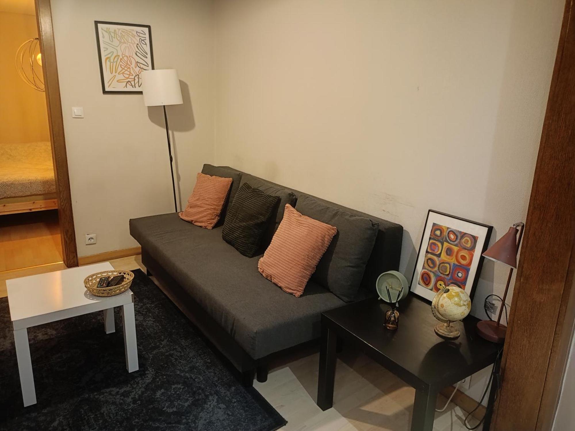 Appartement 2 Pieces Hypercentre Strasbourg